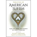 Varieties of American Sufism: Islam, Sufi Orders, and Authority in a Time of Transition