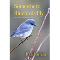 Somewhere Bluebirds Fly: An Adoptee's Search for Home