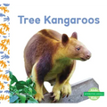 Tree Kangaroos
