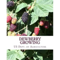 Dewberry Growing: Farmers' Bulletin 1403