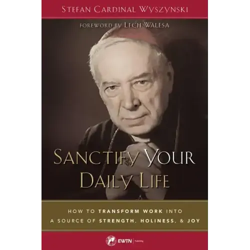 Sanctify Your Daily Life: How to Transform Work Into a Source of Strength, Holiness, and Joy