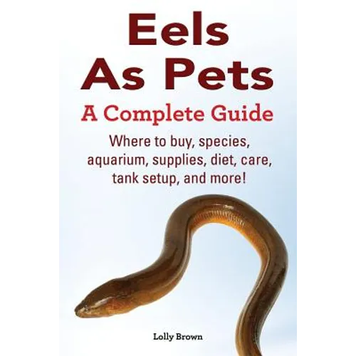 Eels As Pets: Where to buy, species, aquarium, supplies, diet, care, tank setup, and more! A Complete Guide!