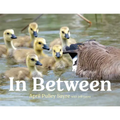 In Between