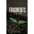 Fragments of My Soul