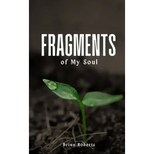 Fragments of My Soul
