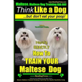 Maltese, Maltese Dog Training AAA AKC: Think Like a Dog But Don'T Eat Your Poop! Maltese Breed Expert Training: Here's EXACLTY How To TRAIN Your Malte
