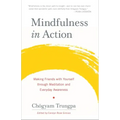 Mindfulness in Action: Making Friends with Yourself Through Meditation and Everyday Awareness