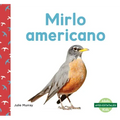 Mirlo Americano (American Robins)