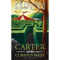 Carter and the Curious Maze: Weird Stories Gone Wrong