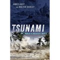 Tsunami: The World's Greatest Waves