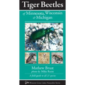 Tiger Beetles of Minnesota, Wisconsin & Michigan
