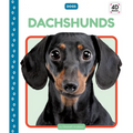 Dachshunds