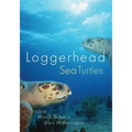 Loggerhead Sea Turtles