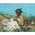Working Cotton