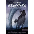Roan Stallion