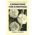 Carnations For Everyman