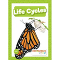 Life Cycles