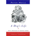 A Dog's Life