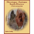 Chincoteague-Assateague Seaside Adventure: A Photo-Journey Guide