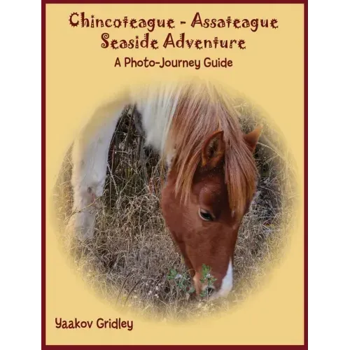 Chincoteague-Assateague Seaside Adventure: A Photo-Journey Guide