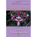 La Gruta de las Orquídeas