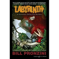 Labyrinth: The Nameless Detective