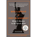 Who's Afraid of Post-Blackness?: What It Means to Be Black Now