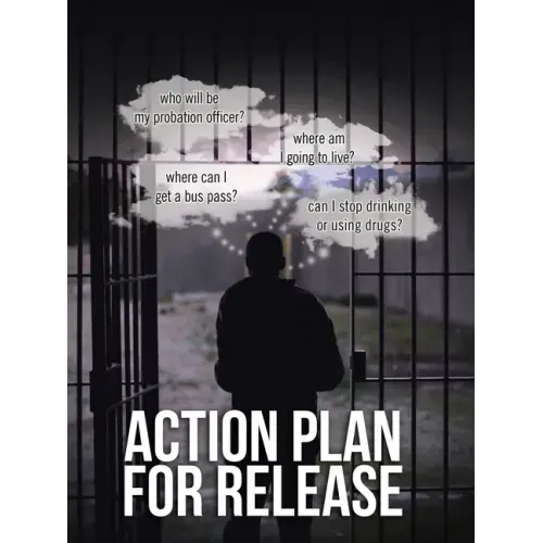 Action Plan for Release