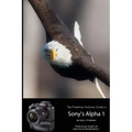 The Friedman Archives Guide to Sony's Alpha 1 (B&W Edition)