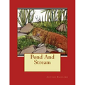 Pond And Stream