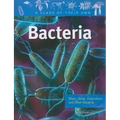 Bacteria: Staph, Strep, Clostridium, and Other Bacteria