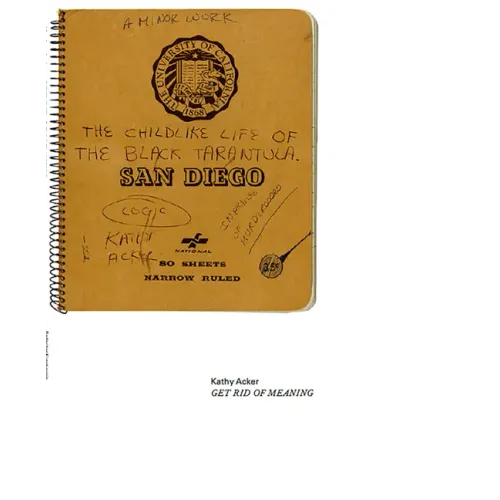 Kathy Acker: Get Rid of Meaning