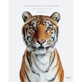 Animal Kingdom: A Collection of Portraits