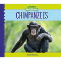 Chimpanzees