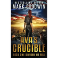 Divided We Fall: A Novel of the Coming Civil War in America