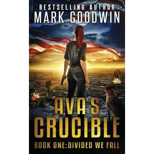 Divided We Fall: A Novel of the Coming Civil War in America