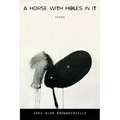 A Horse with Holes in It: Poems