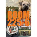 Room 225-6: A Novel