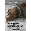 The Big Year - Summer and Fall