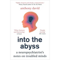 Into the Abyss: A Neuropsychiatrist's Notes on Troubled Minds