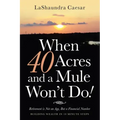 When 40 Acres and a Mule Won't Do!: Retirement Is Not an Age, but a Financial Number