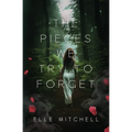 The Pieces We Try to Forget