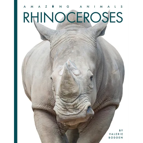 Rhinoceroses