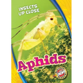 Aphids