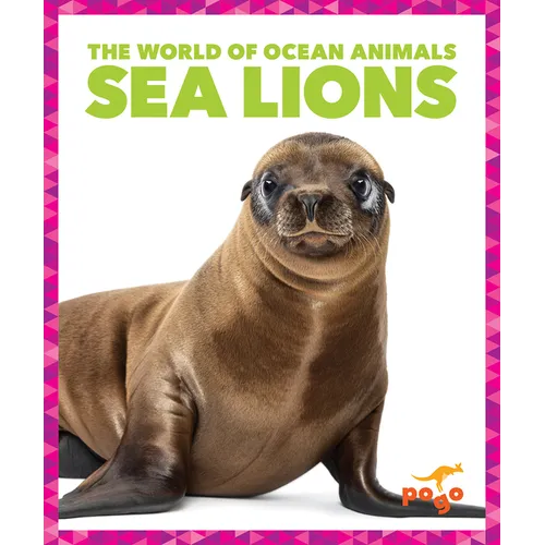 Sea Lions