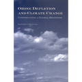 Ozone Depletion and Climate Change: Constructing a Global Response