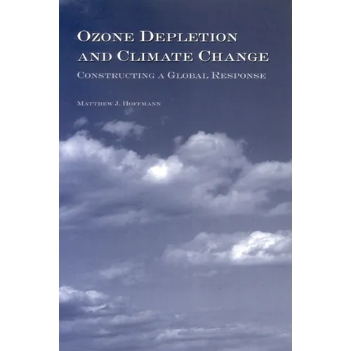 Ozone Depletion and Climate Change: Constructing a Global Response