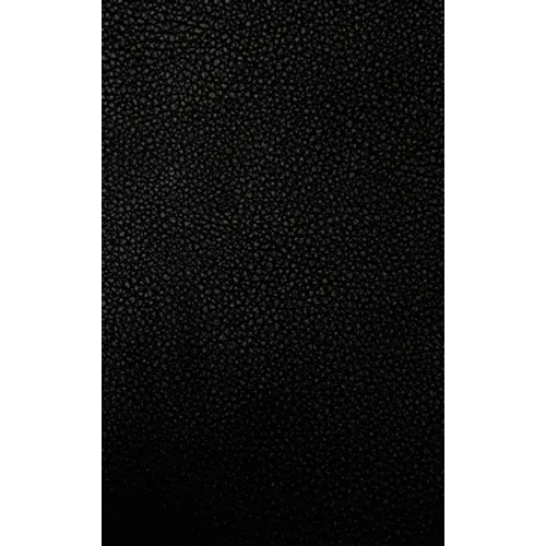 The 4 Year Journal: Fully Customizable Daily Journal, Record Keeper, Gratitude or Prayer Journal, Event Log, or Diet and Fitness Tracker