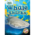 Whale Sharks