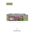 Como Conocer a Dios: Los Aforismos de Yoga de Patánjali